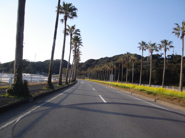 a0116205_23541575.jpg