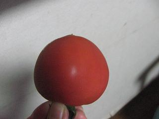 d0104209_22233759.jpg