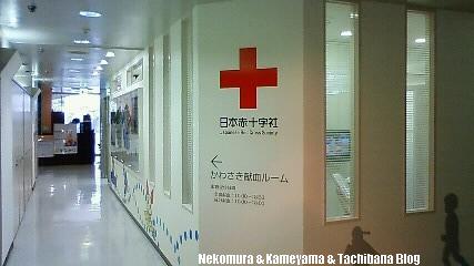 f0167314_213562.jpg
