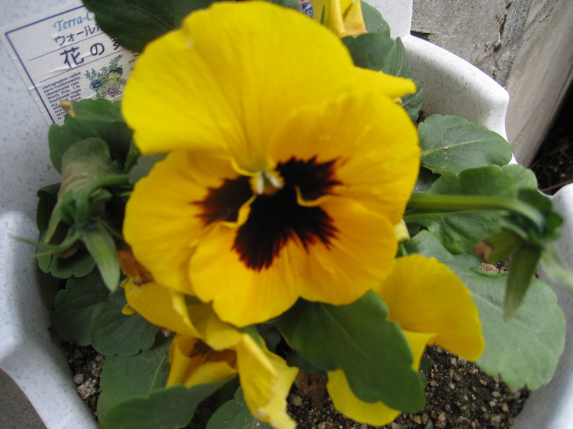 c0197220_14481272.jpg