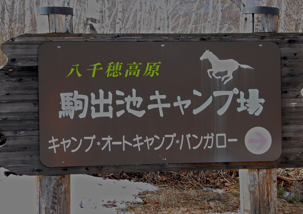 c0044021_1033442.jpg