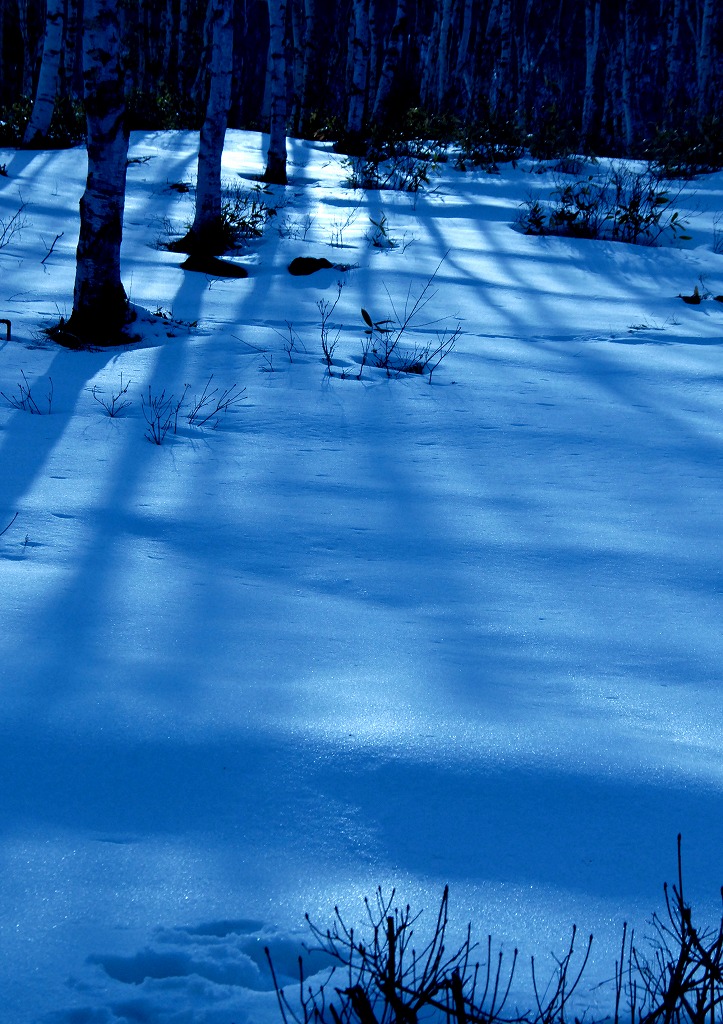 c0044021_1034338.jpg