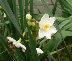 f0060424_0122242.jpg