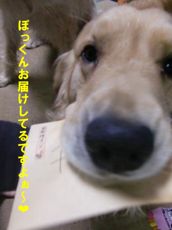 f0176830_2034496.jpg