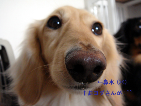 c0117831_20232755.jpg