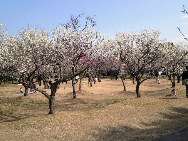 e0064133_032141.jpg