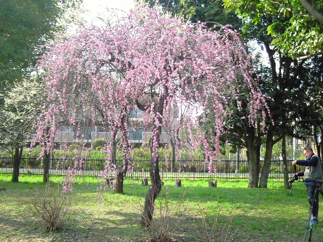 e0064133_032393.jpg