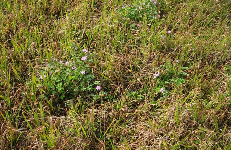 f0042737_11191276.jpg