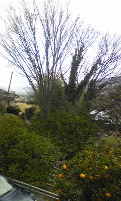 d0092439_8453223.jpg