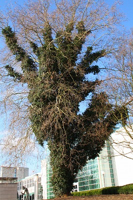 c0153740_20213068.jpg
