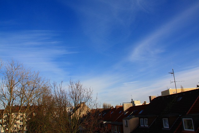 c0153740_2505328.jpg