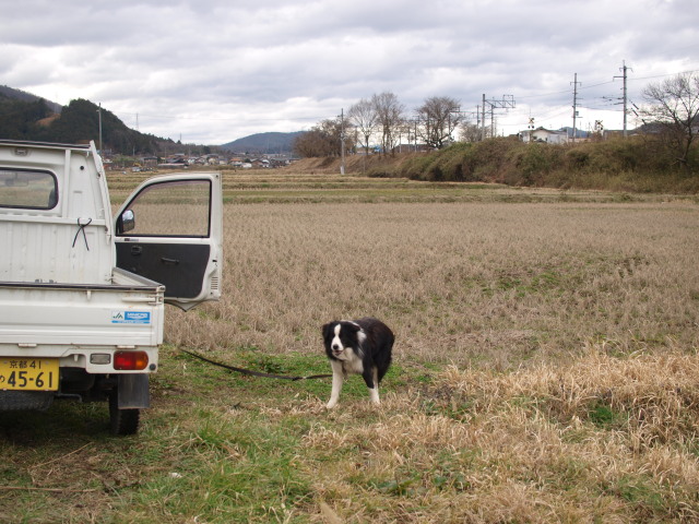 c0072843_1738544.jpg