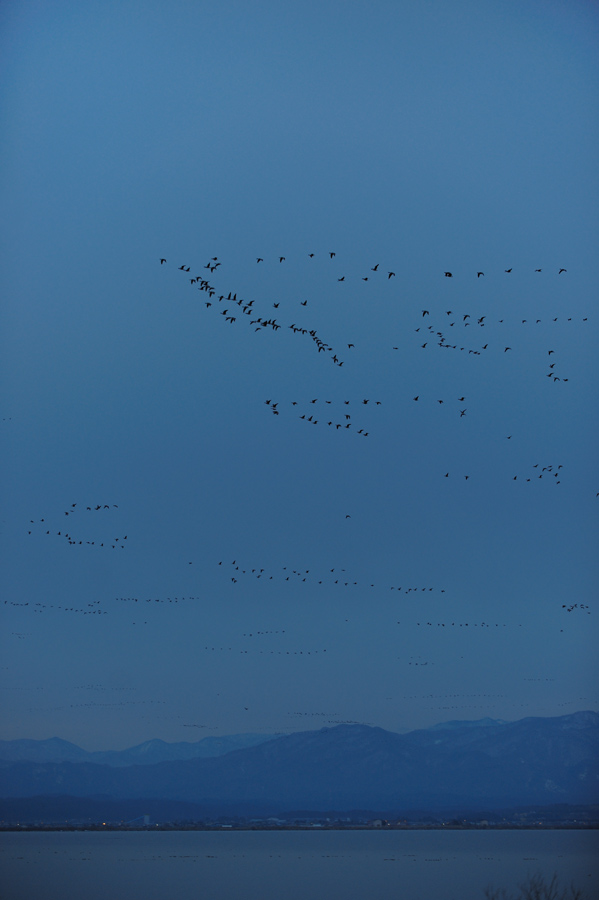 a0039245_24027.jpg
