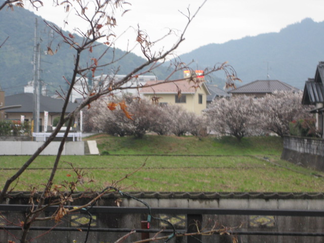 c0134645_20223746.jpg