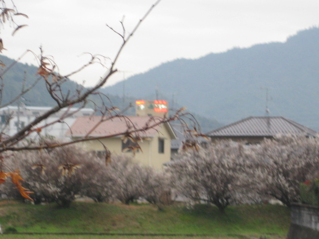 c0134645_20224478.jpg