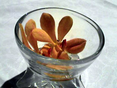 d0070047_19404123.jpg