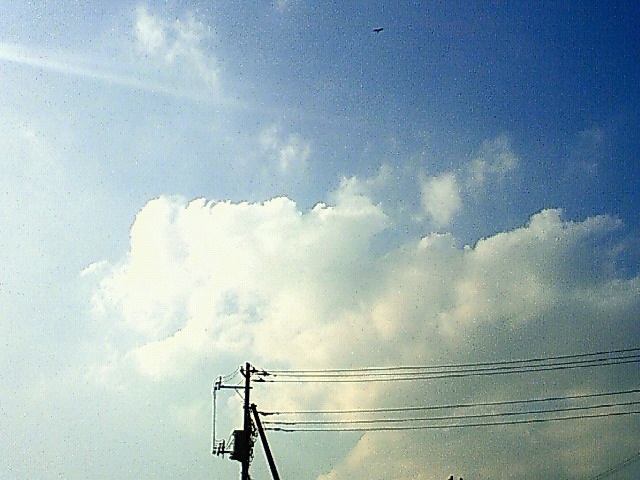 f0179947_23461292.jpg
