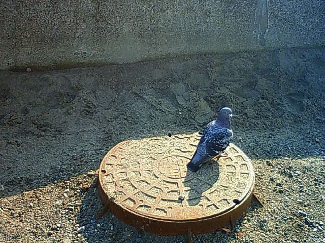 f0179947_23472283.jpg
