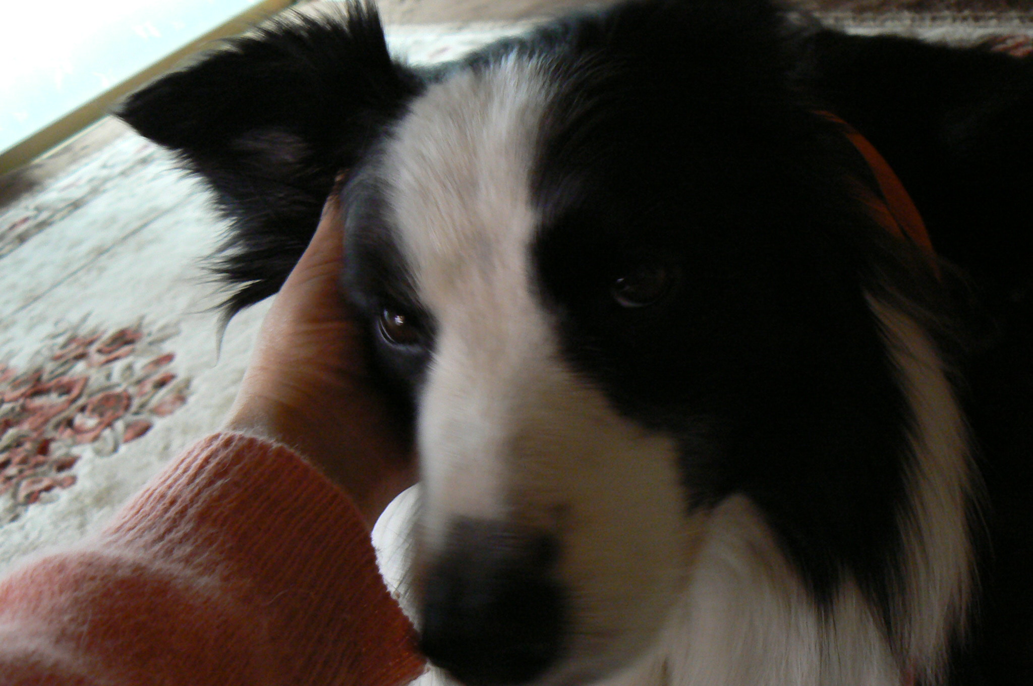 b0177649_21351655.jpg