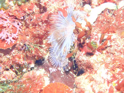 e0065350_22305618.jpg