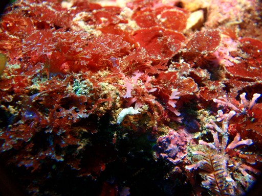 e0065350_22321131.jpg
