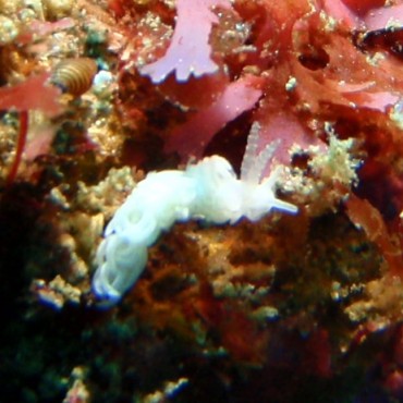 e0065350_22332959.jpg