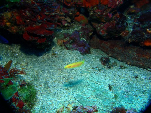 e0065350_22362811.jpg