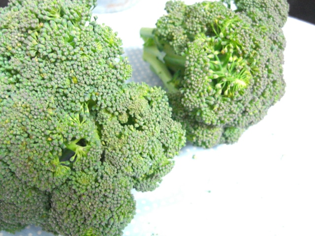 c0169360_11130100.jpg