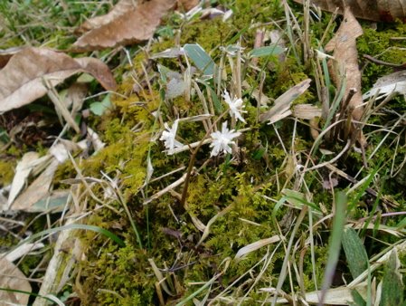 d0105063_1541070.jpg
