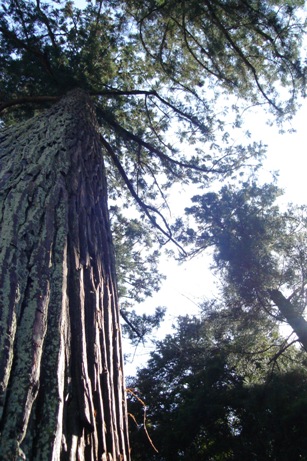 c0170974_21583751.jpg