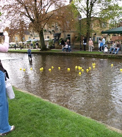 d0041074_1063974.jpg
