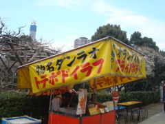 b0034381_624378.jpg