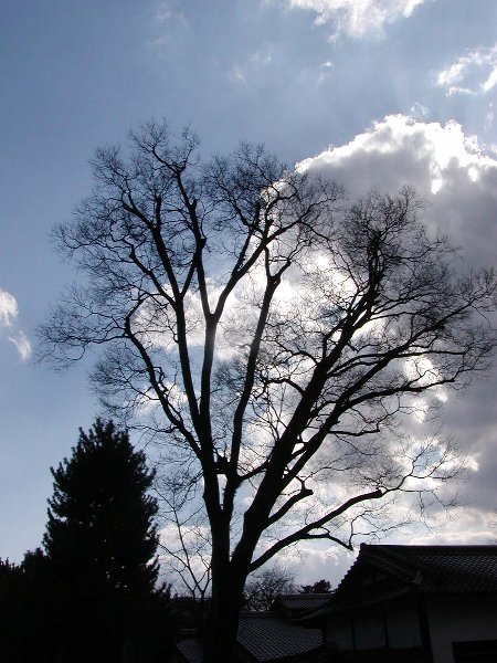 c0057390_2203416.jpg