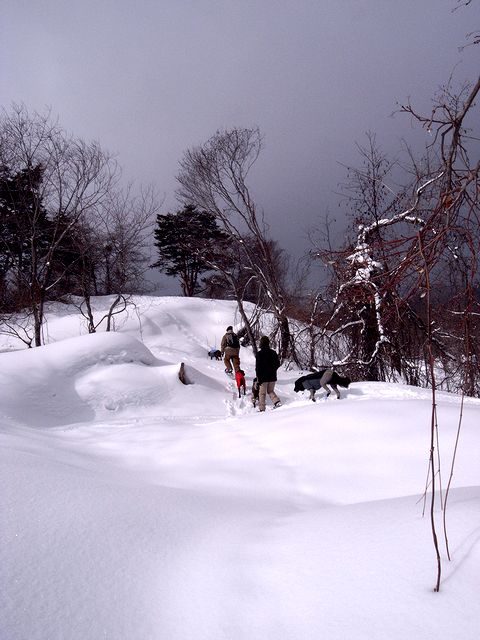a0093592_1403494.jpg