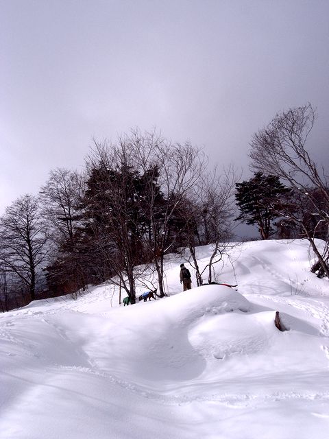 a0093592_1405496.jpg