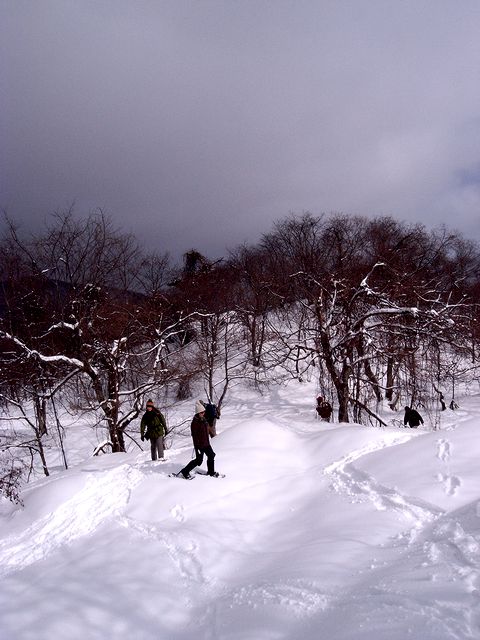a0093592_1491581.jpg