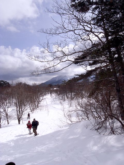 a0093592_149333.jpg