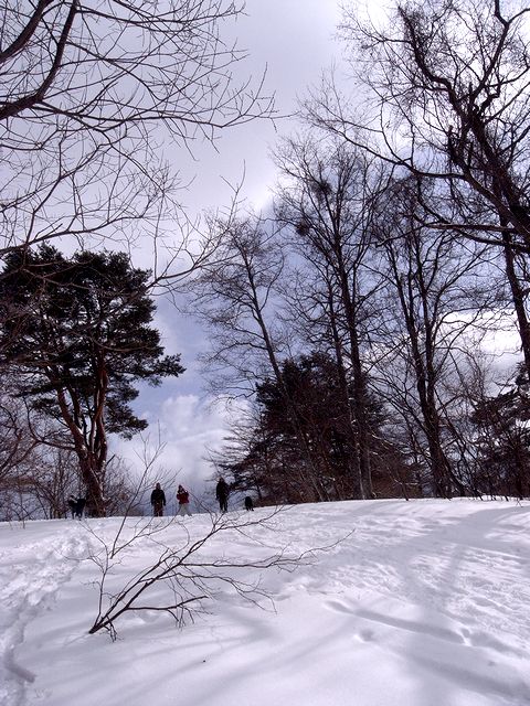 a0093592_1495170.jpg