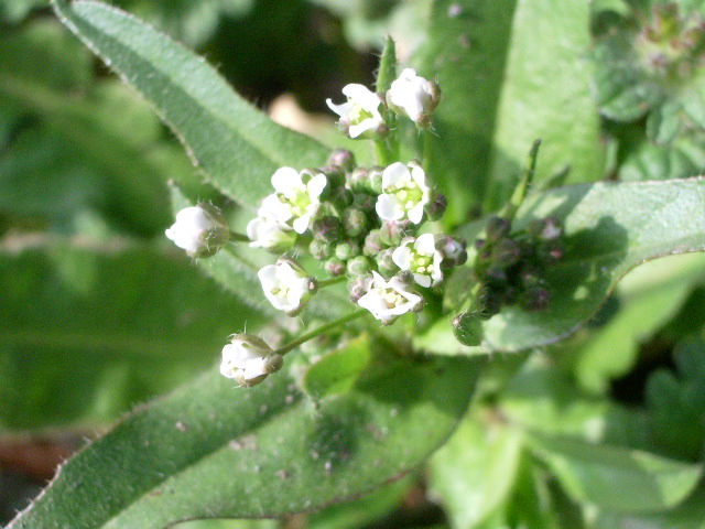 e0025300_21484453.jpg