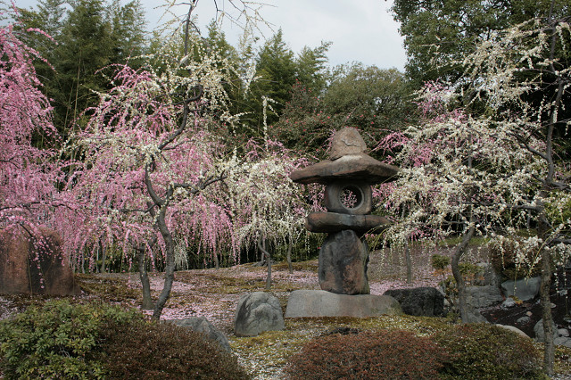 f0083400_2315748.jpg