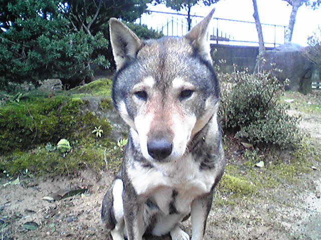 f0079202_22464011.jpg