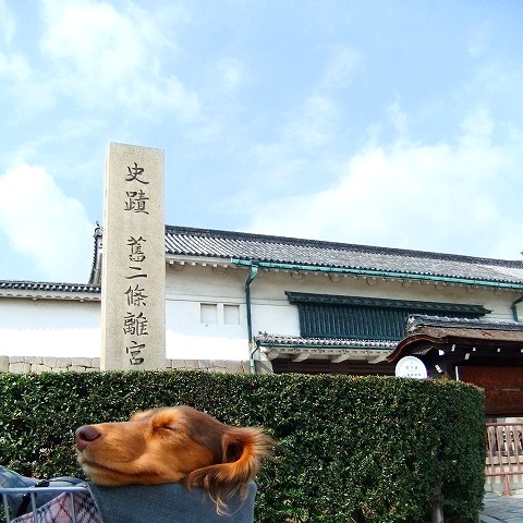 c0228404_12141654.jpg