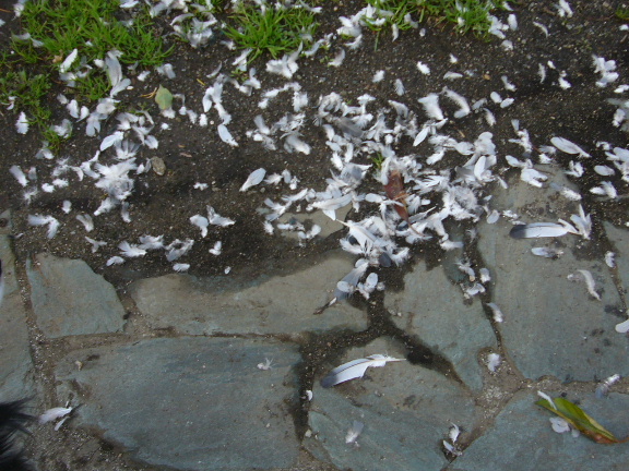 e0130008_2011365.jpg