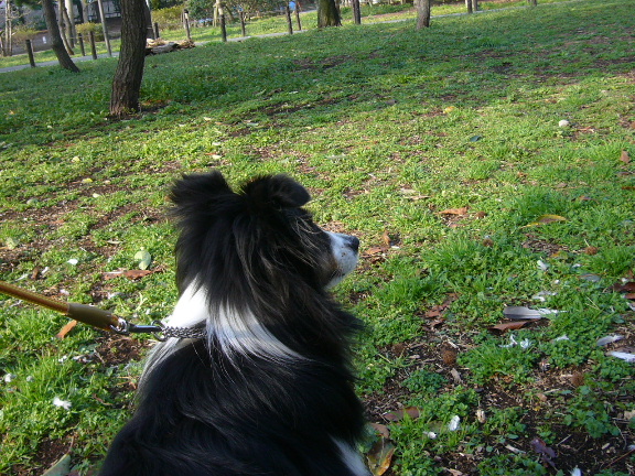 e0130008_2033030.jpg