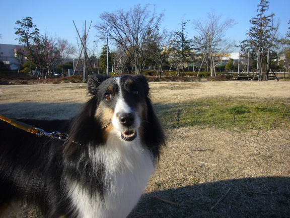e0130008_2054376.jpg