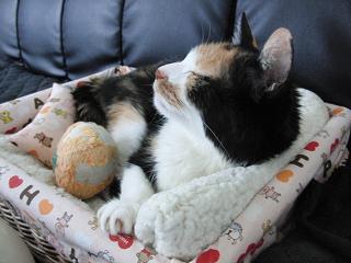 c0201113_21243491.jpg