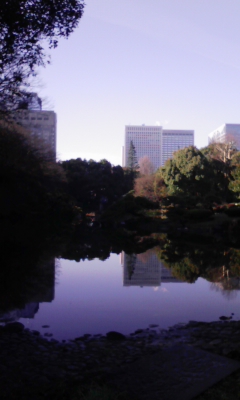 e0009714_8302279.jpg