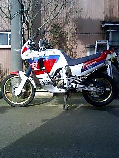e0091220_1731788.jpg
