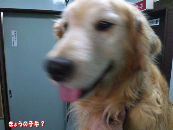 f0203423_19383376.jpg