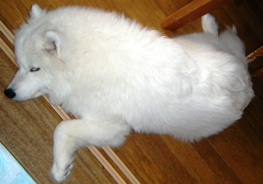 e0024126_21234980.jpg